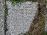 image of grave number 303456